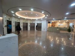 Gleneagles Hospital (D10), Retail #476912091